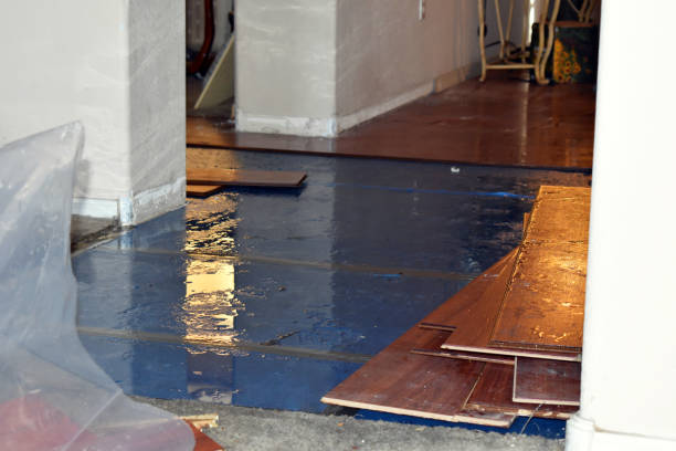 Professional Basement Flood Cleanup technician working in Washington, NC