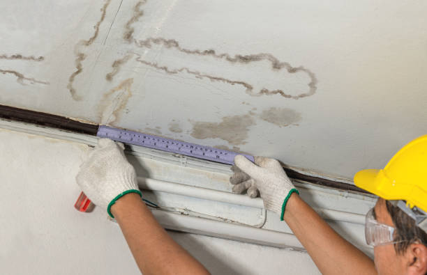 Reliable Basement Flood Cleanup contractor in Washington, NC by Aqua Guard Water Damage